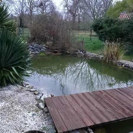 Avec Piscine, Bbq, Badminton Villa